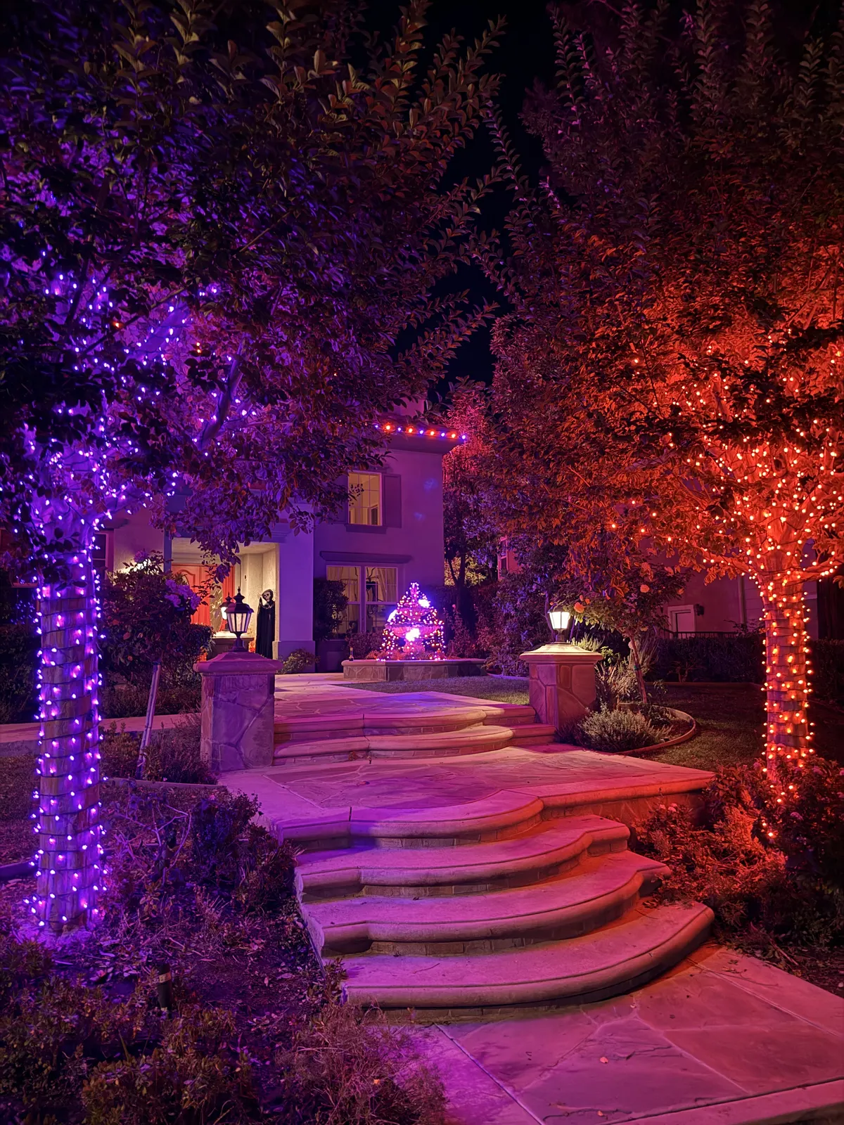 Halloween lighting with purple and orange tree wrapping and pathway lighting