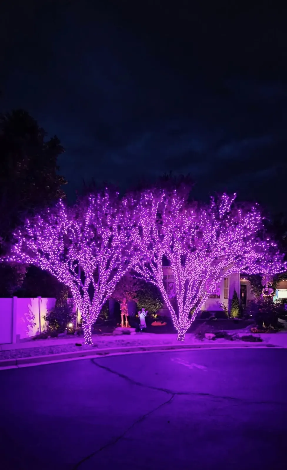 Purple Halloween tree lighting display
